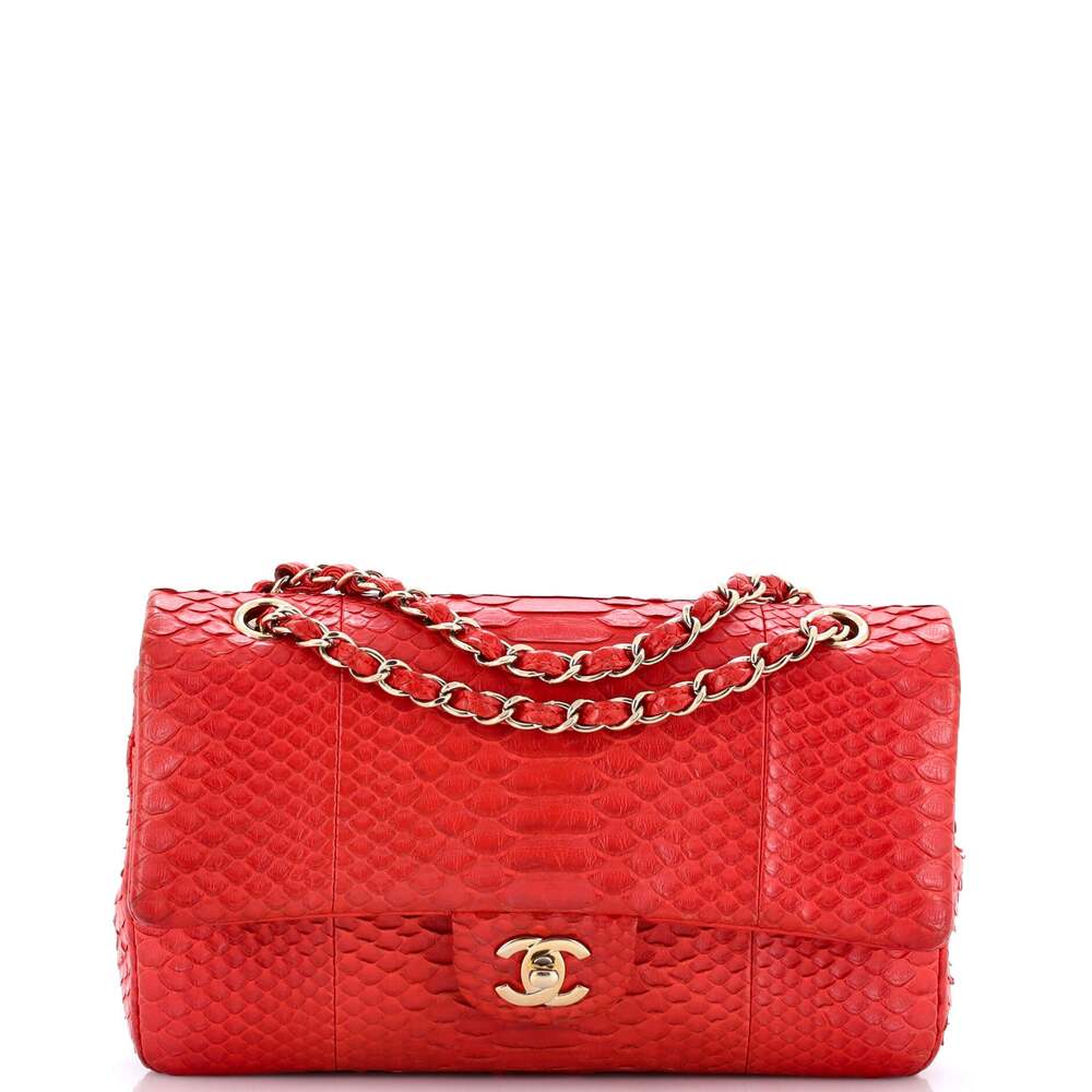 Chanel Classic Double Flap Bag Python #242391C48B